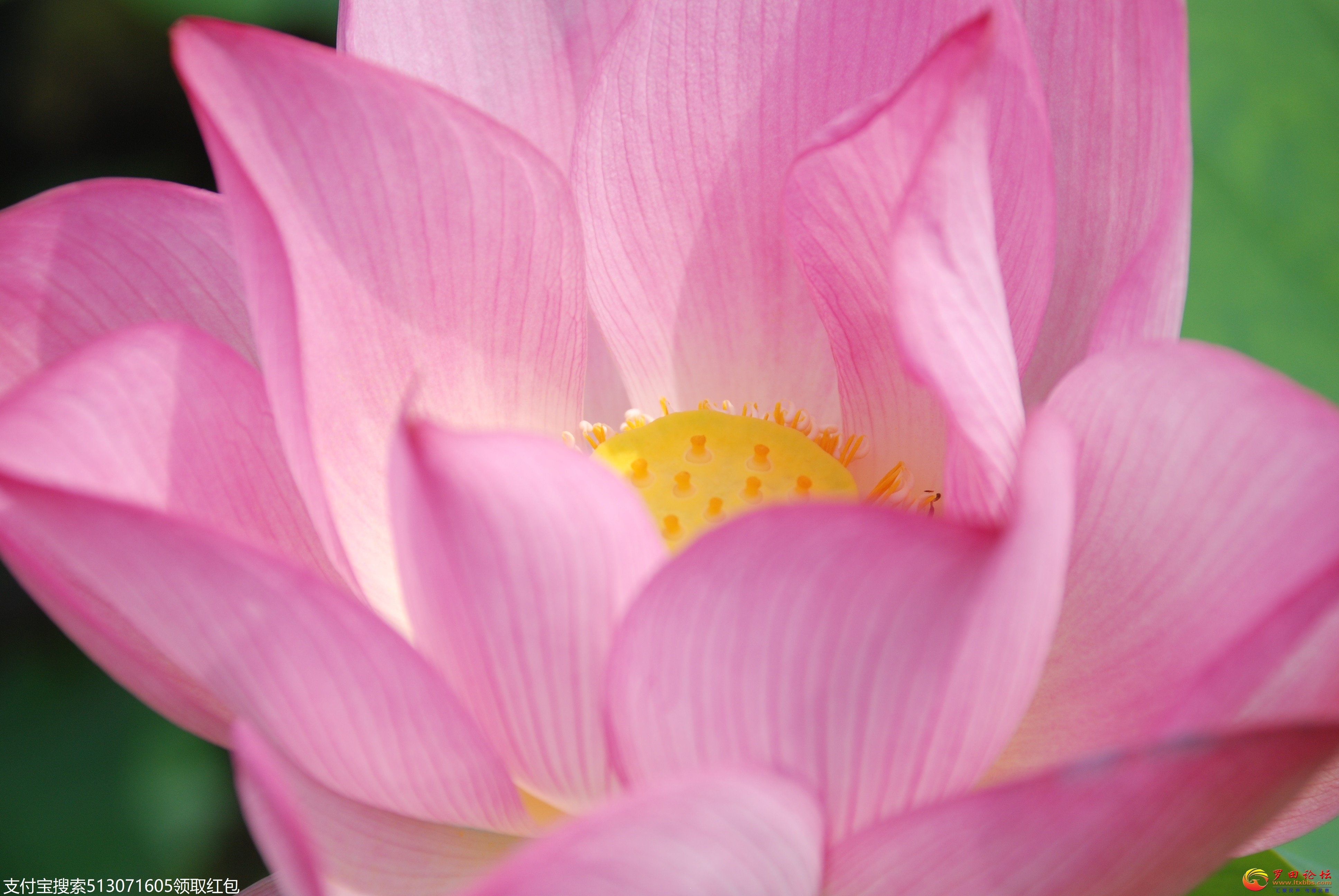 DSC_1948.jpg