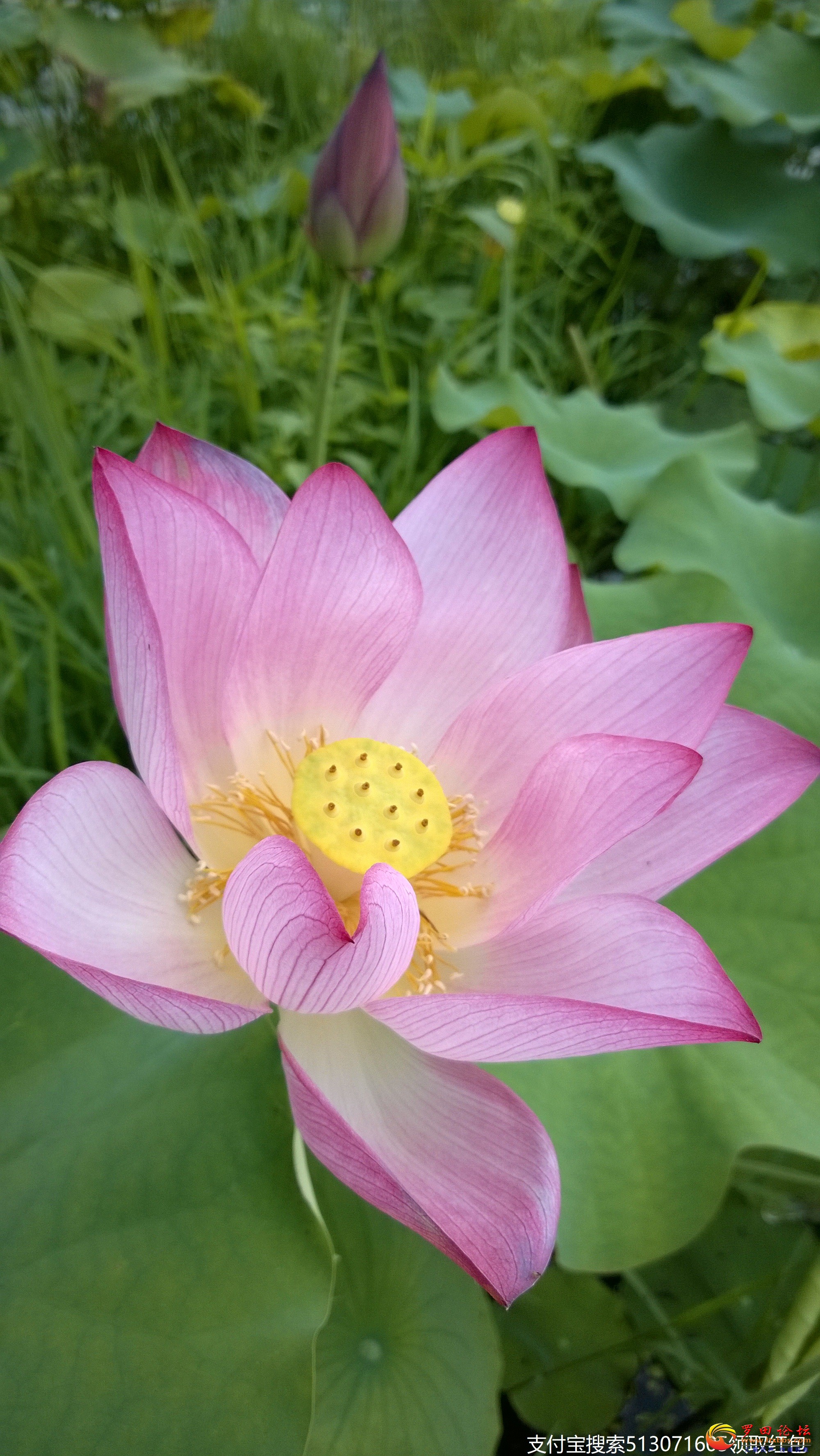 WP_20140622_10_43_08_Pro.jpg