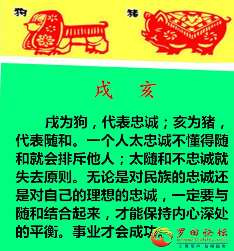 584.7纥.jpg