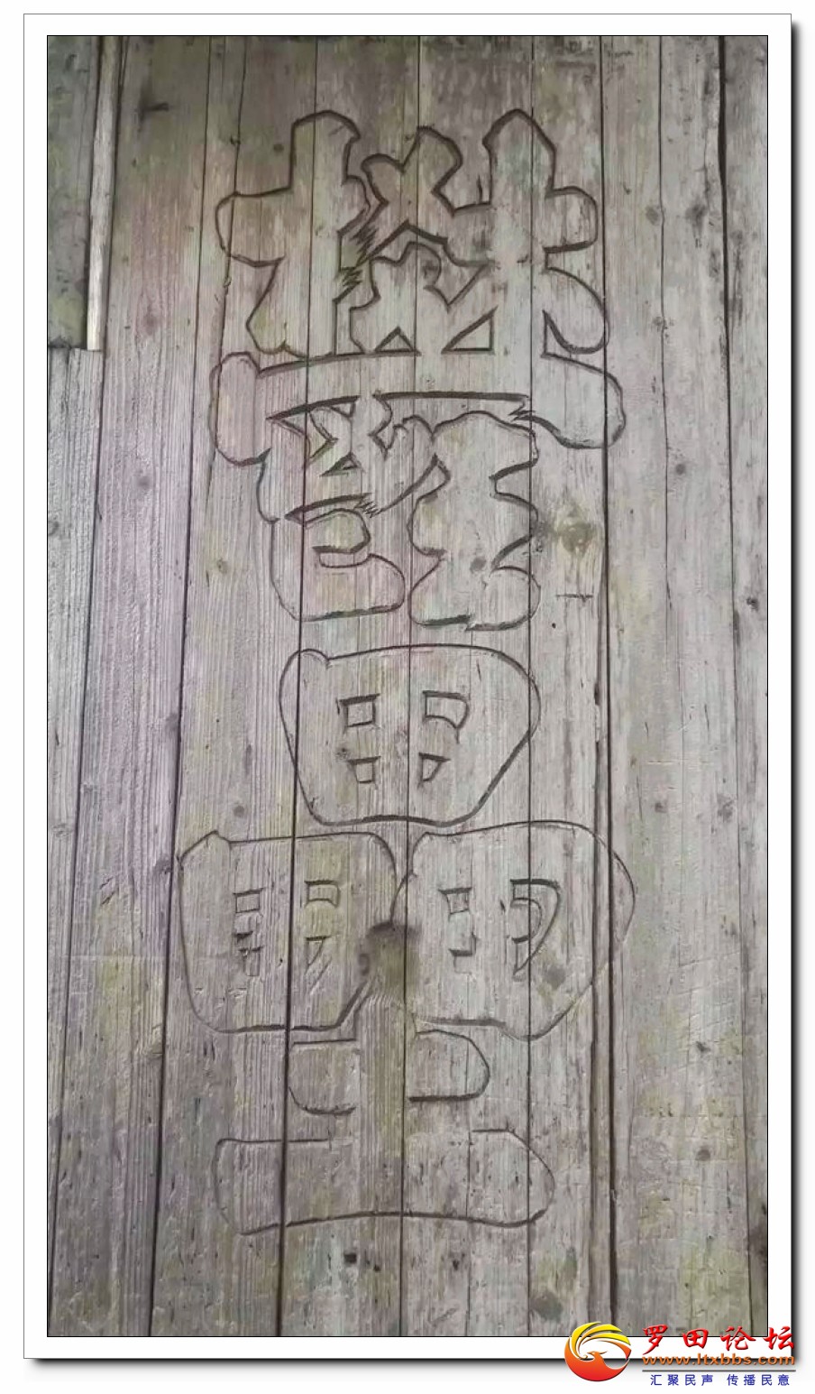 1534659810994298_494.jpg