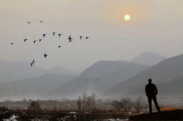 4.gif