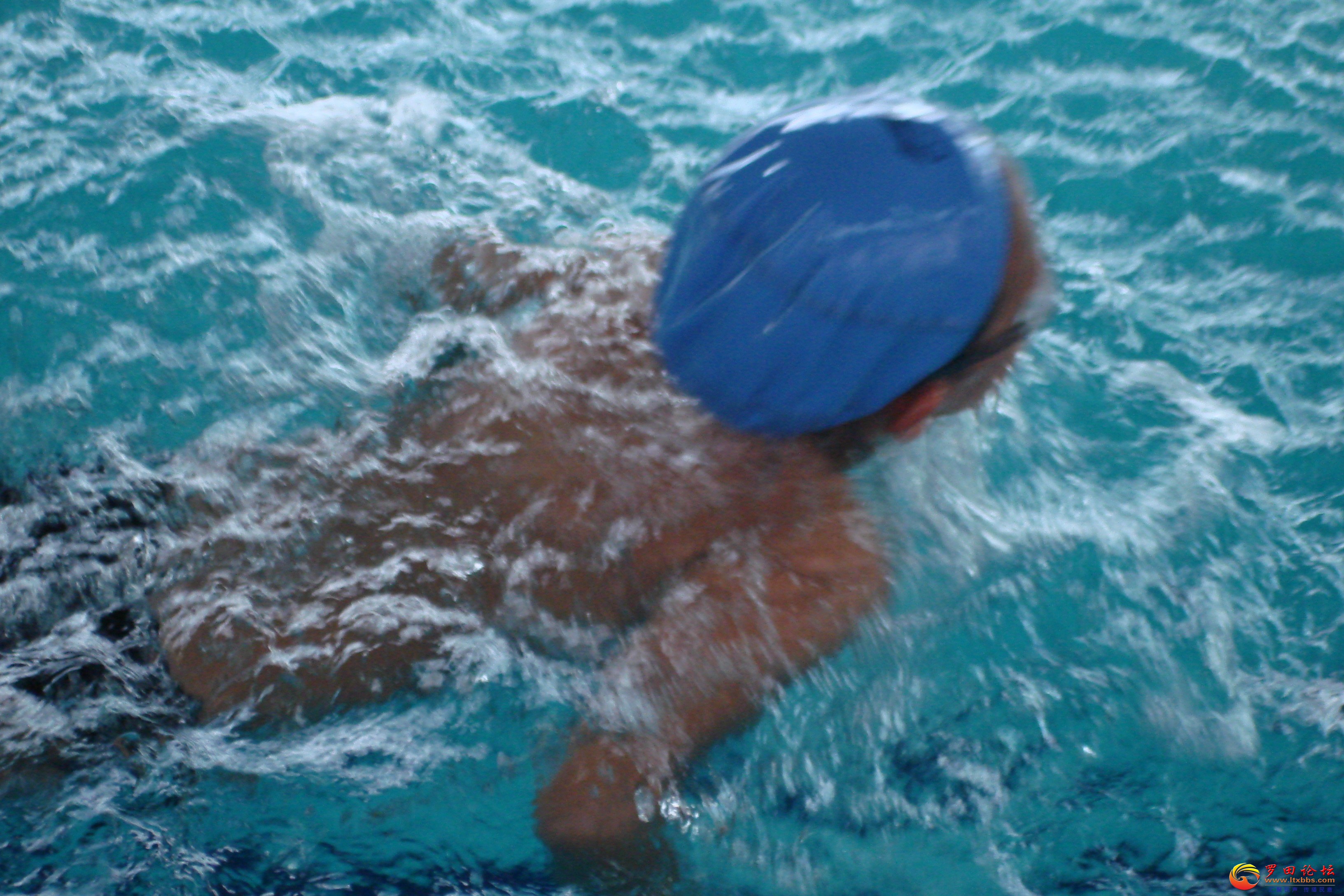 DSC02895.JPG