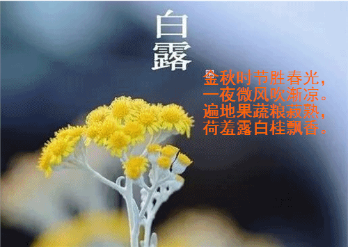 602 ¶.gif
