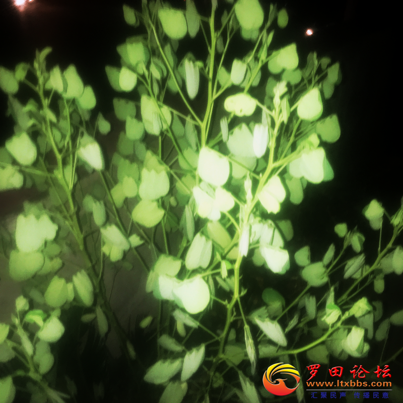 2C1B6161C0F0AF5542B5AB41B8A3884A.png