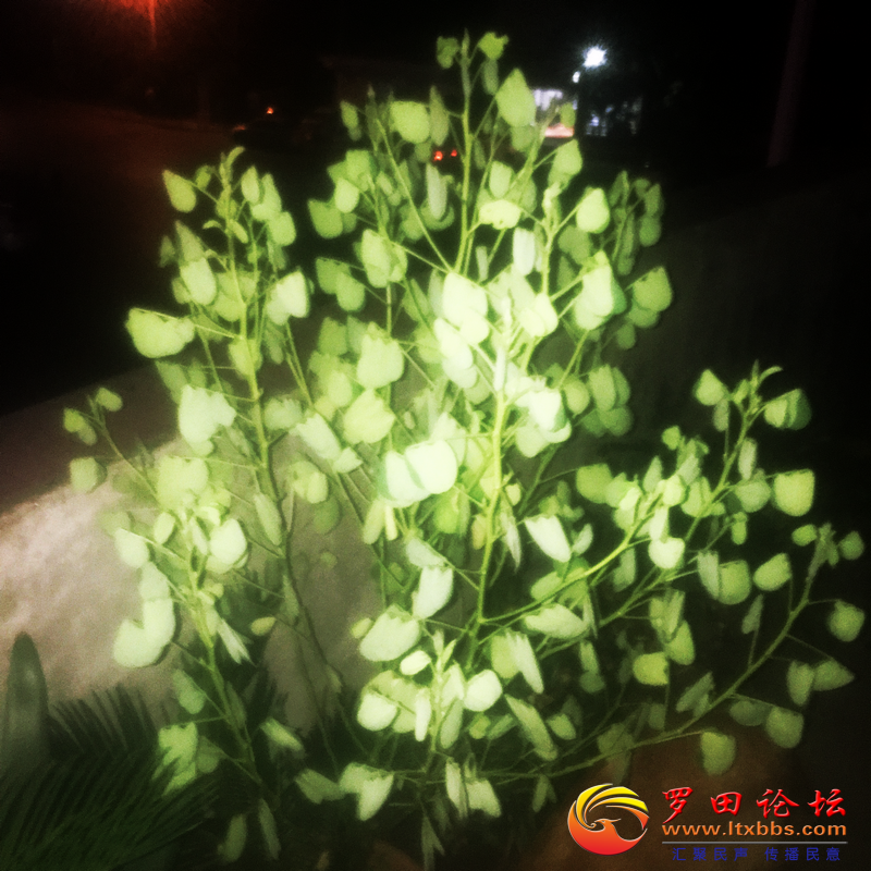 49A07A72D717ABC7A54F3068B0EF96C5.png