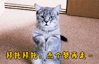 t01a0c57d040e5a87a6.gif