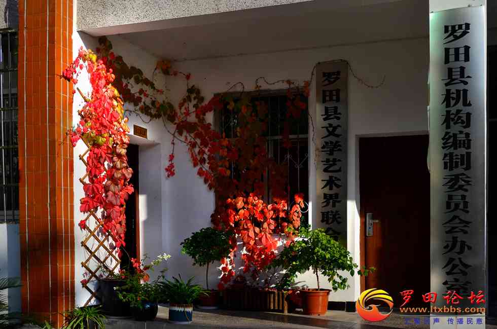 4_DSC0110.jpg