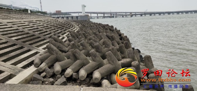 QQͼƬ20200529080339.jpg