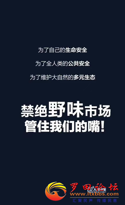 ͼƬ13.png