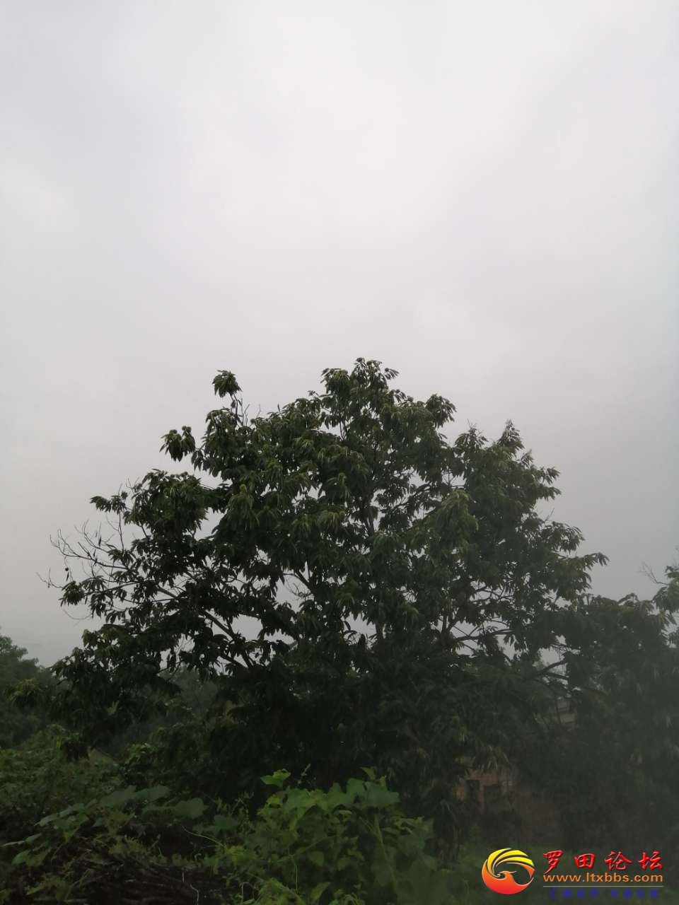 20200628_63384_1593302676836.jpg