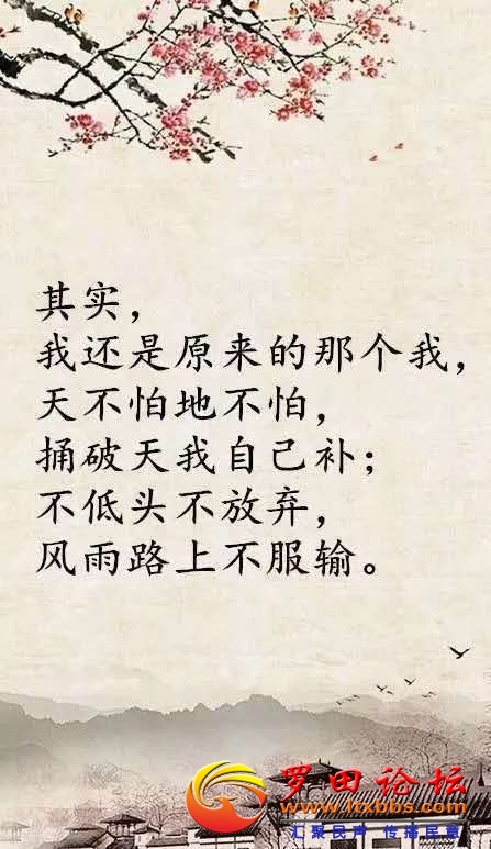 222132b0pvl54krv4qlqv7.jpg