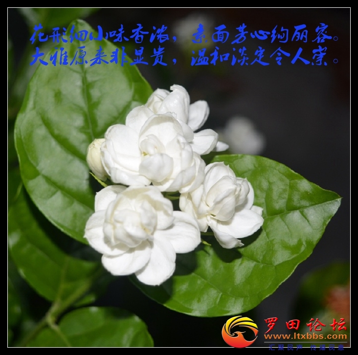 001sIZO5zy7E0egpTw216&amp;690.jpg
