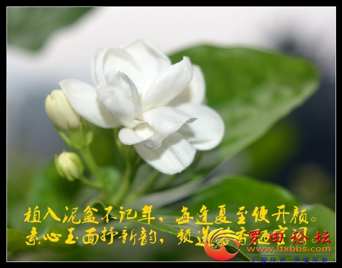 001sIZO5zy7EVEZSQY5bd&amp;690.jpg