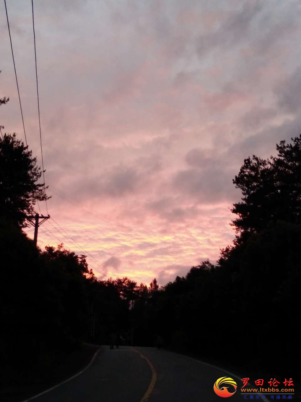 20200727_78869_1595850960576.jpg