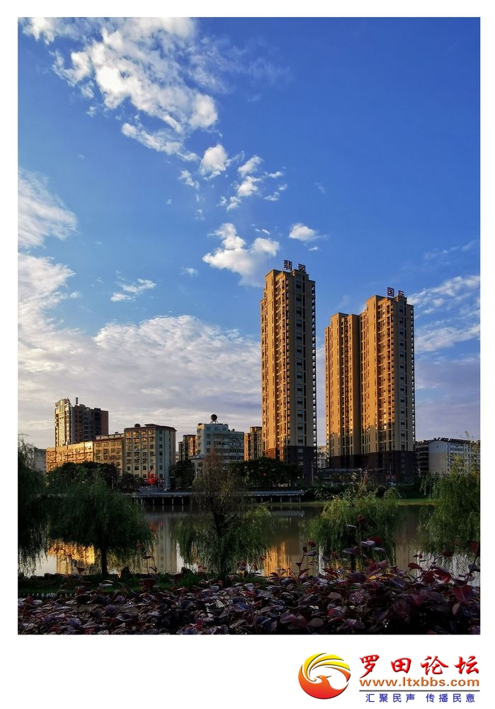 QQͼƬ20200731074357.jpg