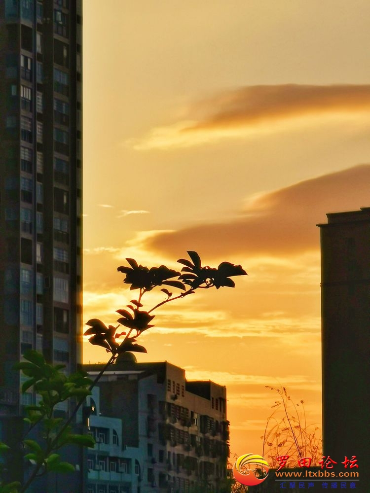QQͼƬ20200811073353.jpg