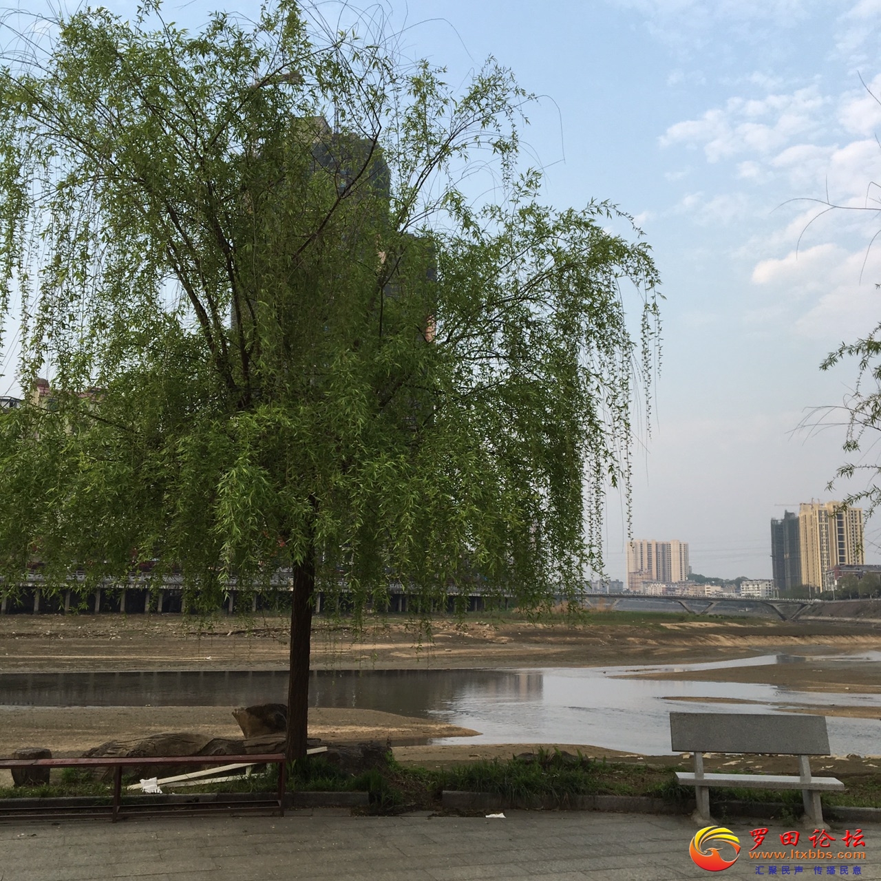 front1_0_Fvf6z0apLRM813y_5QyzlcMtPcpr.jpg