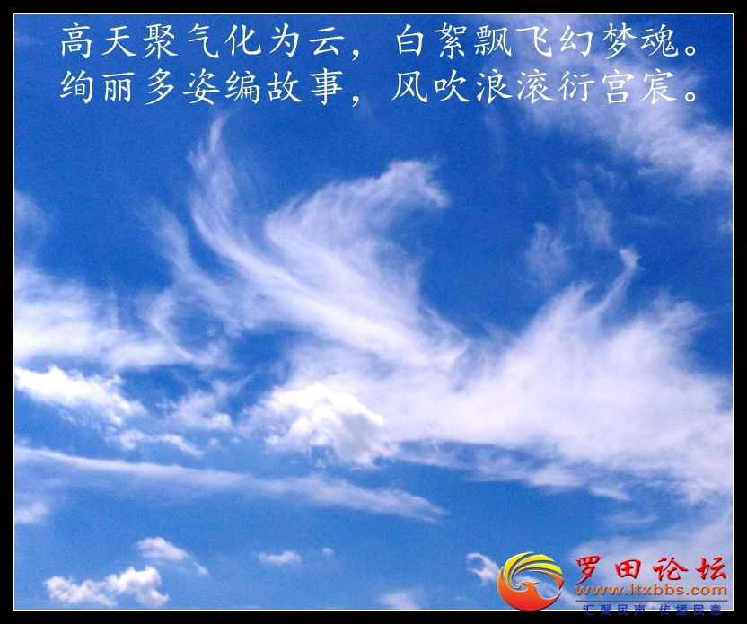 IMG_20200814_112049.jpg