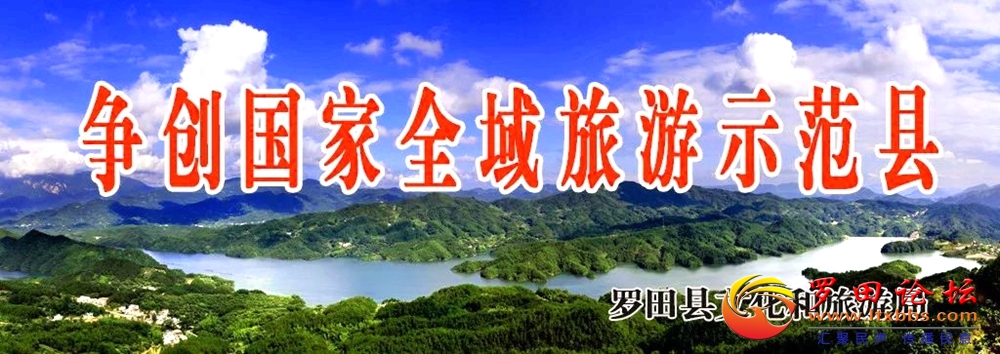 211cd122a6a5596bd2893d807f7e6cb.jpg