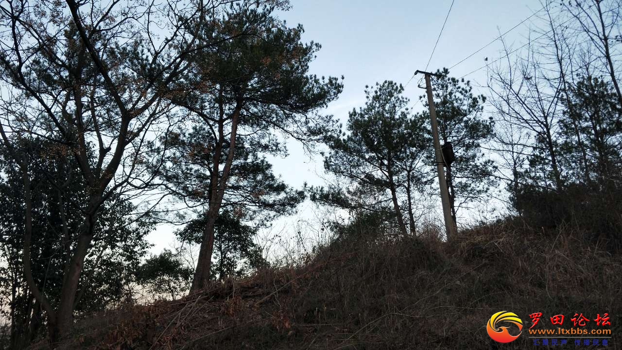 20200910_78822_1599690582885.jpg