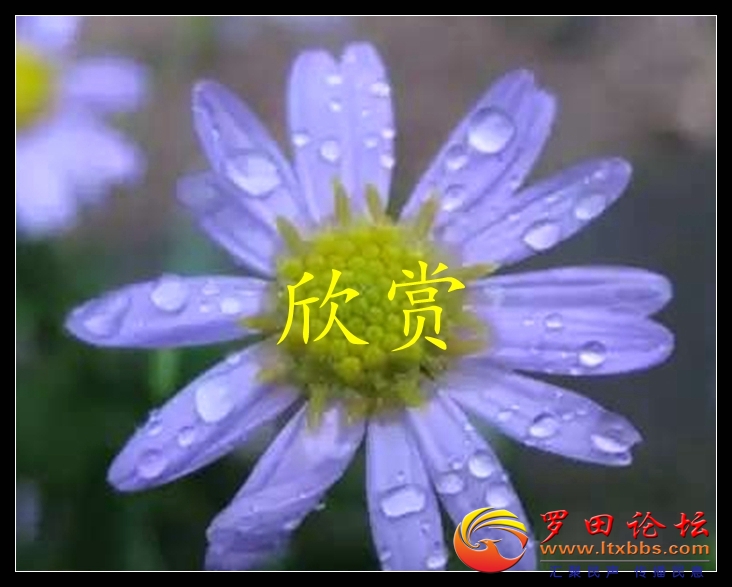 090717sv0vo65yymmtuomm.jpg