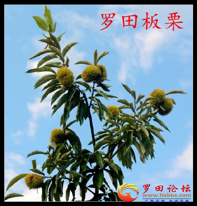 001sIZO5zy7GyO5xzb6c4&amp;690.jpg