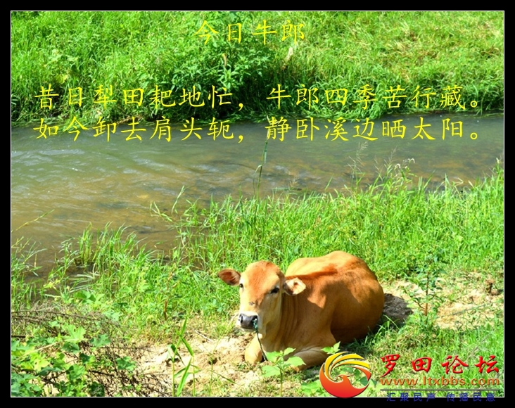 001sIZO5zy7GwFJKb8r77&amp;690.jpg