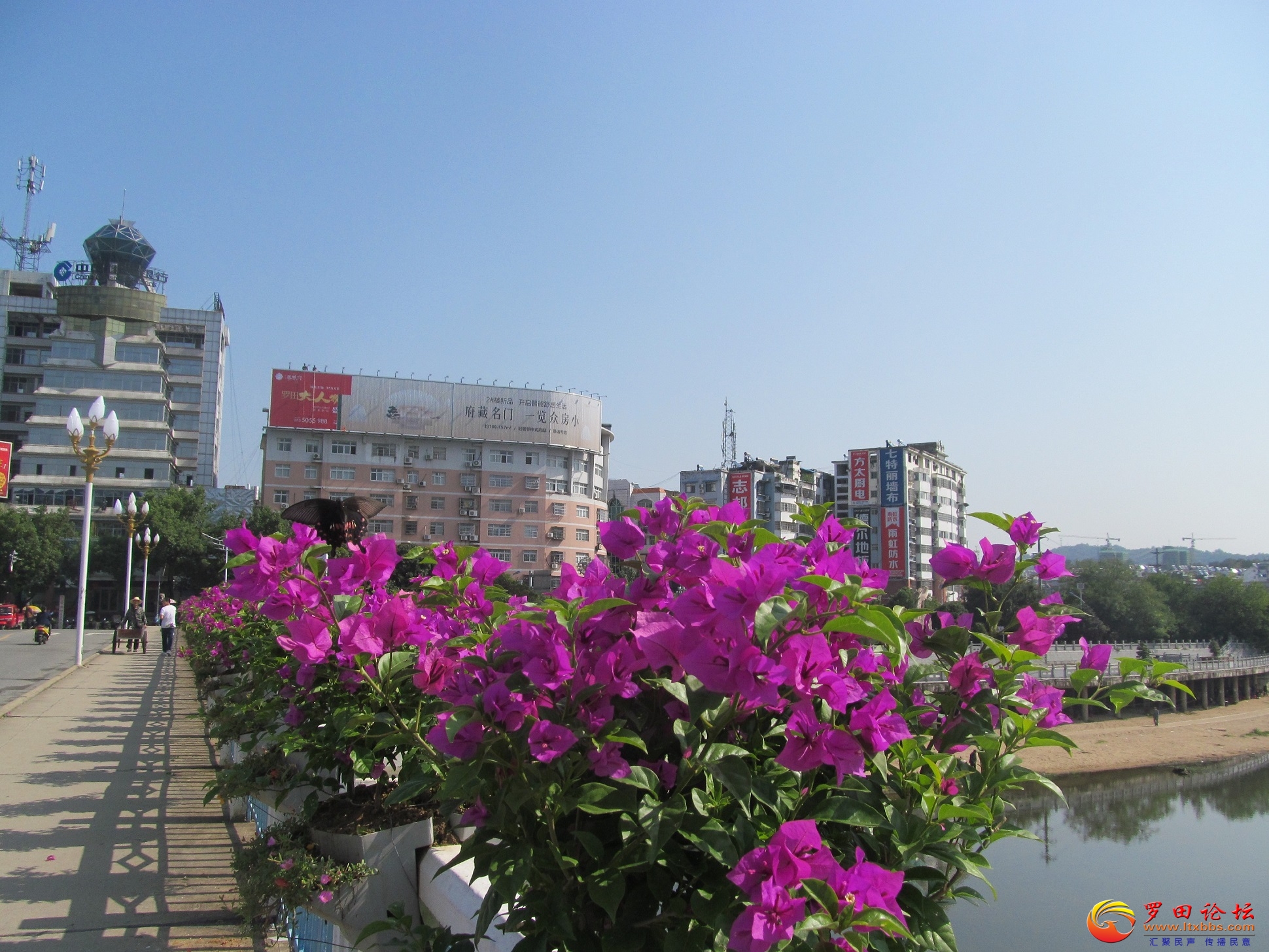 IMG_7124.JPG