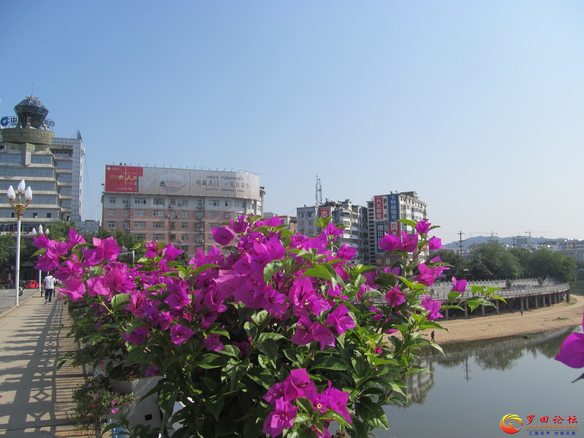 IMG_7123.JPG