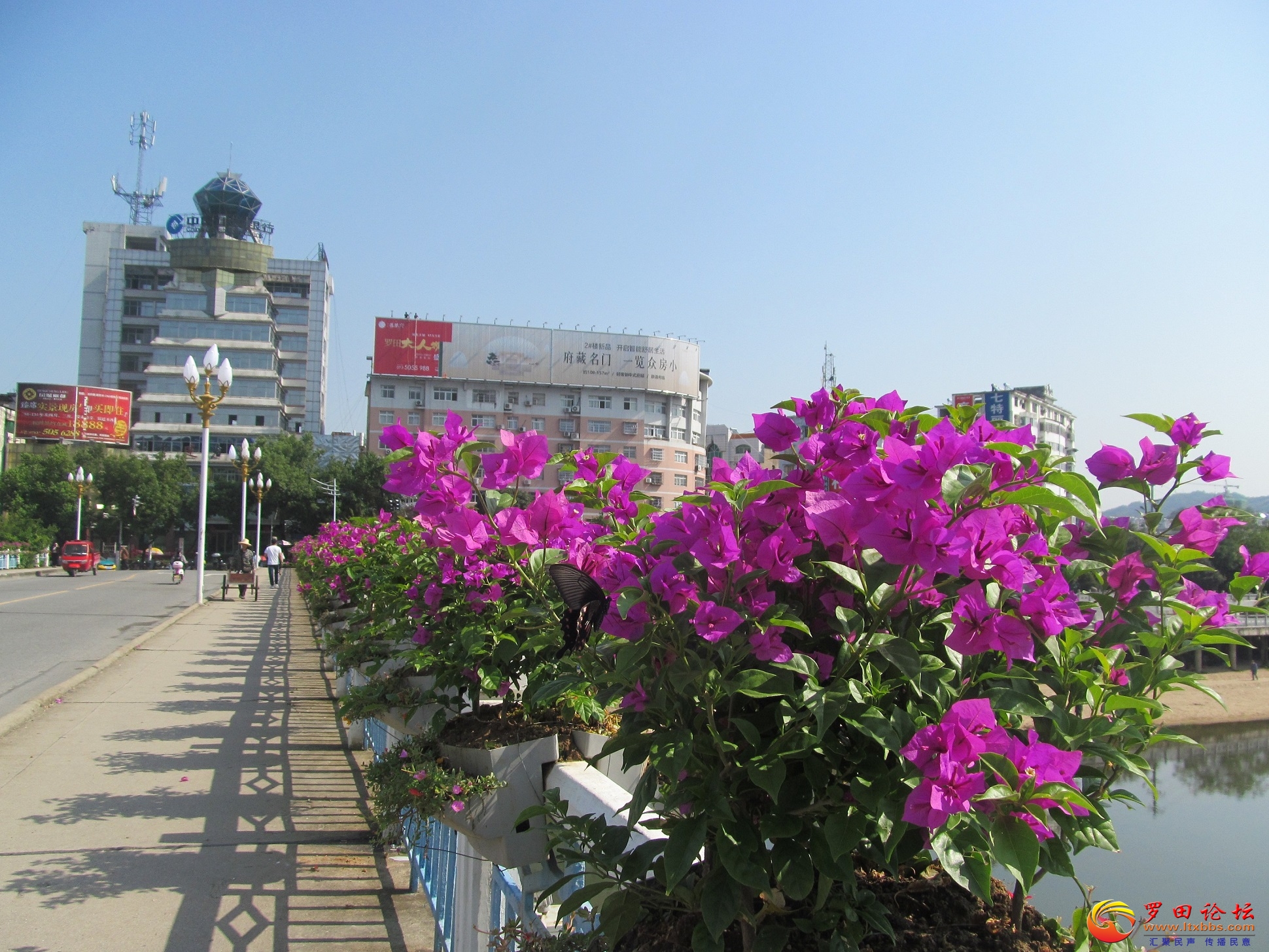 IMG_7125.JPG