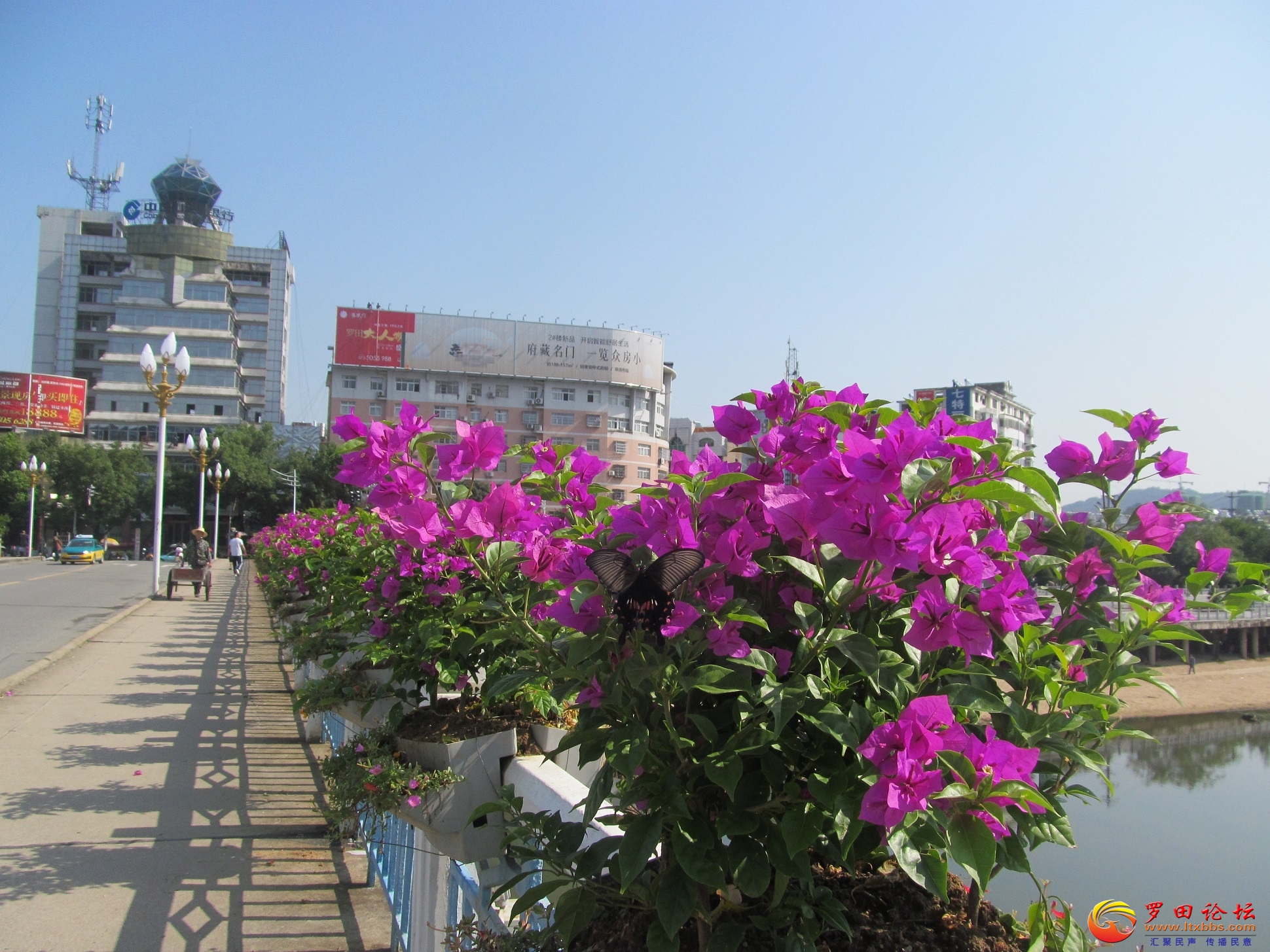 IMG_7126.JPG