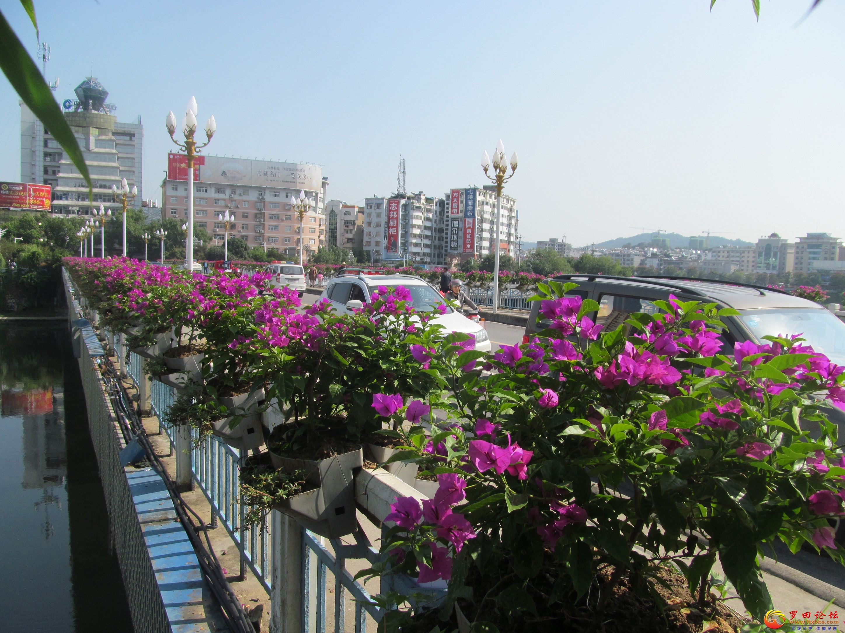 IMG_7115.JPG
