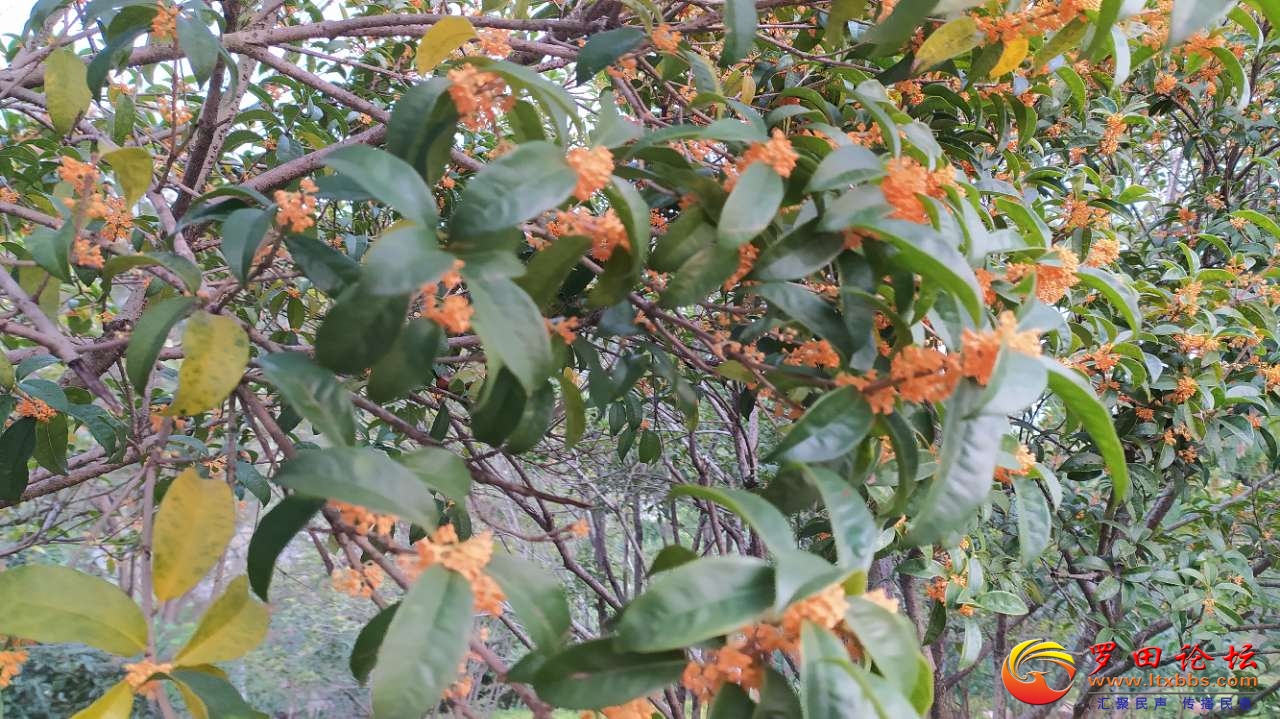20200927_57696_1601165941727.jpg