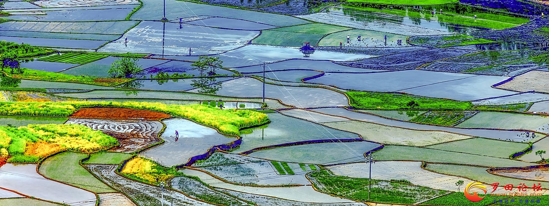 Ƚͼ-ղľ.jpg