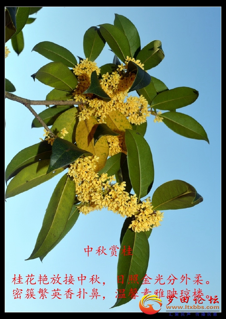 001sIZO5zy7GRmEzEBCa4&amp;690.jpg