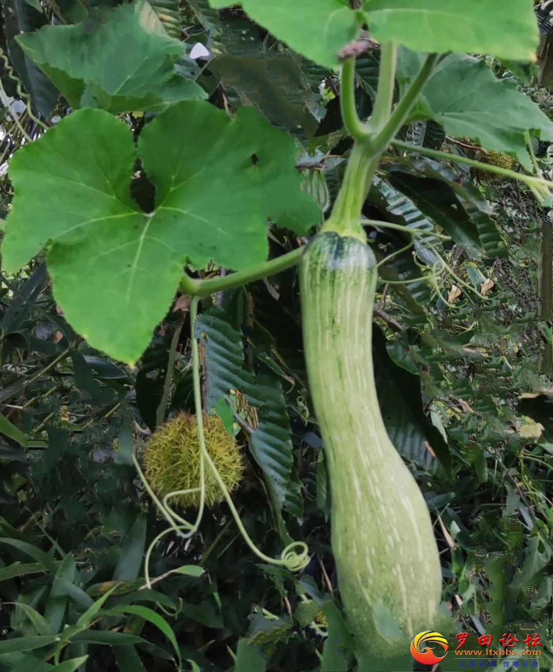΢ͼƬ_20201003105343.jpg
