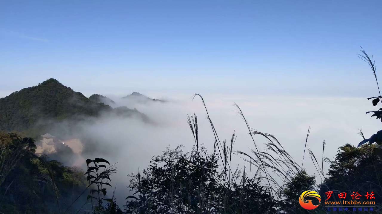 20201008_63384_1602109965679.jpg