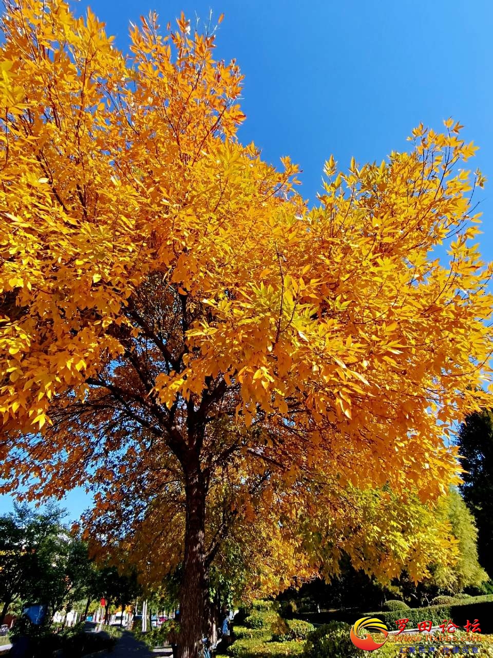 20201009_1160_1602254509131.jpg