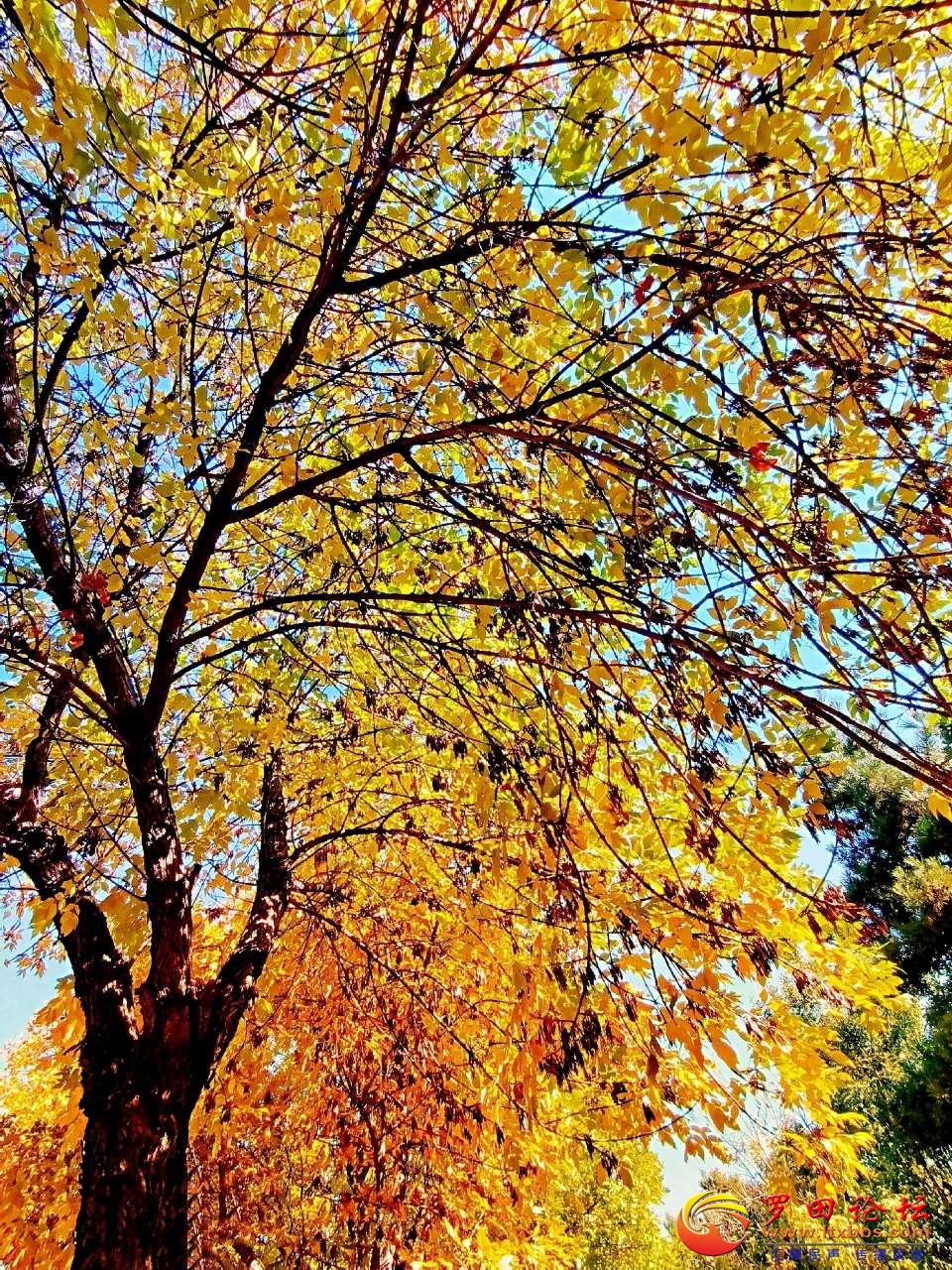 20201009_1160_1602254508940.jpg