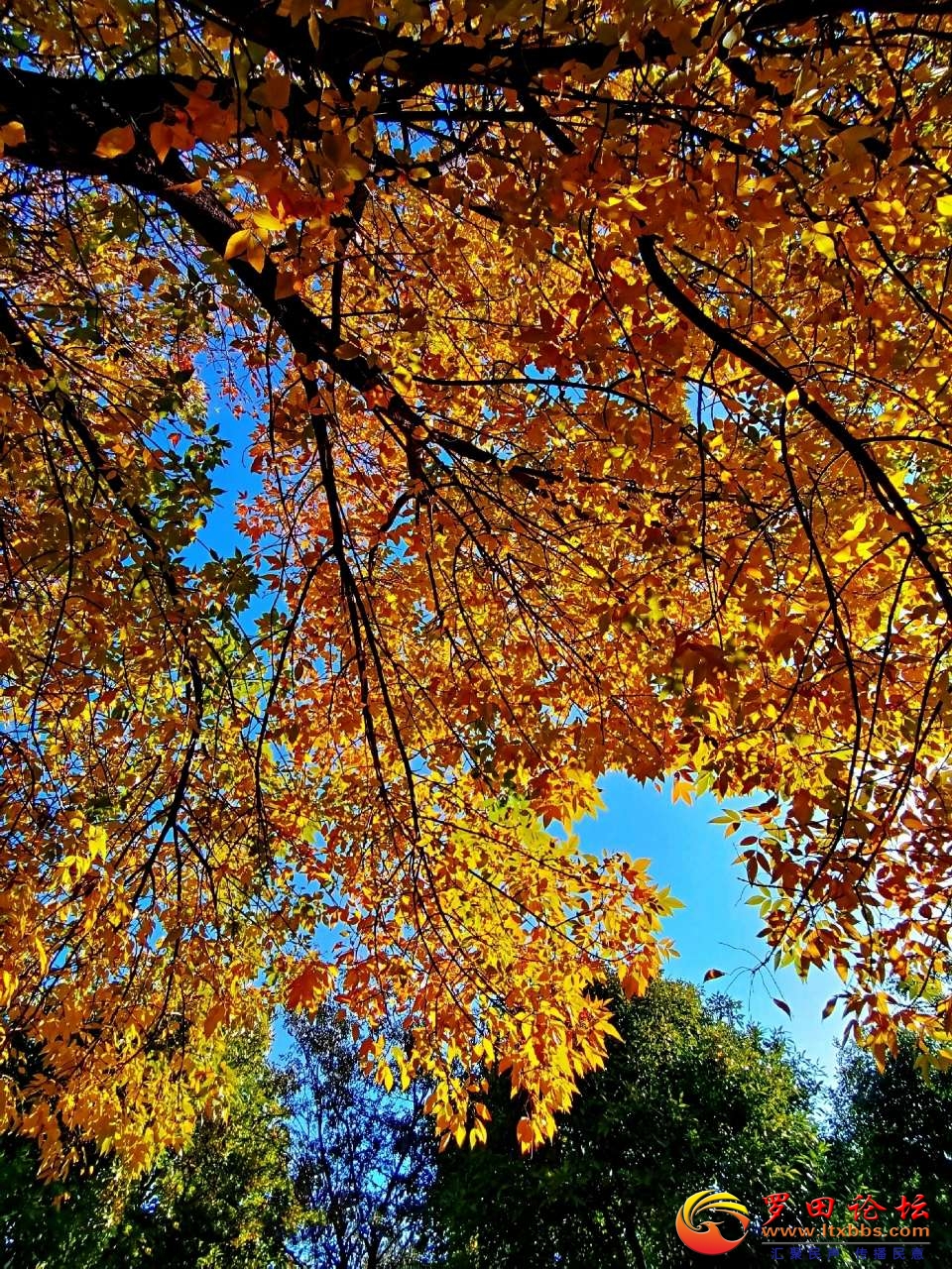 20201009_1160_1602254508769.jpg