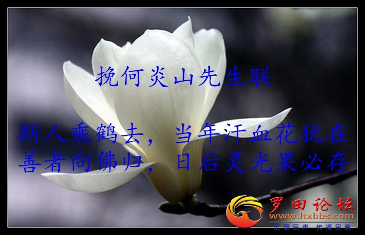 u=2507354497,4167466152&amp;fm=26&amp;gp=0.jpg