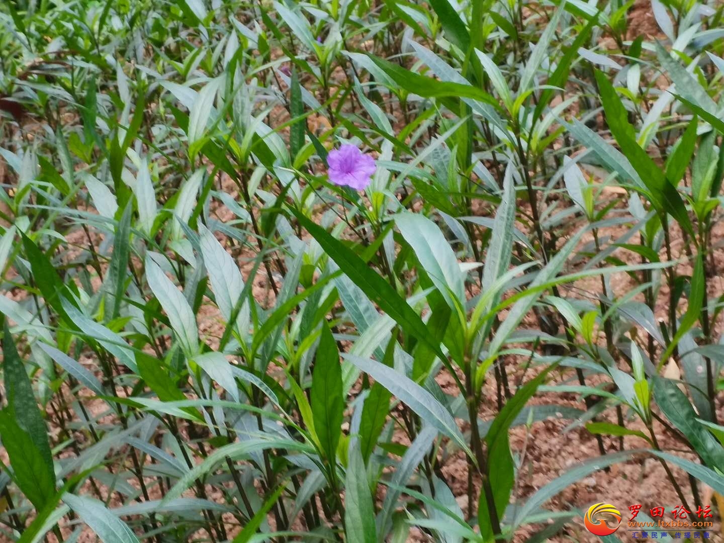 ΢ͼƬ_20201022103219.jpg