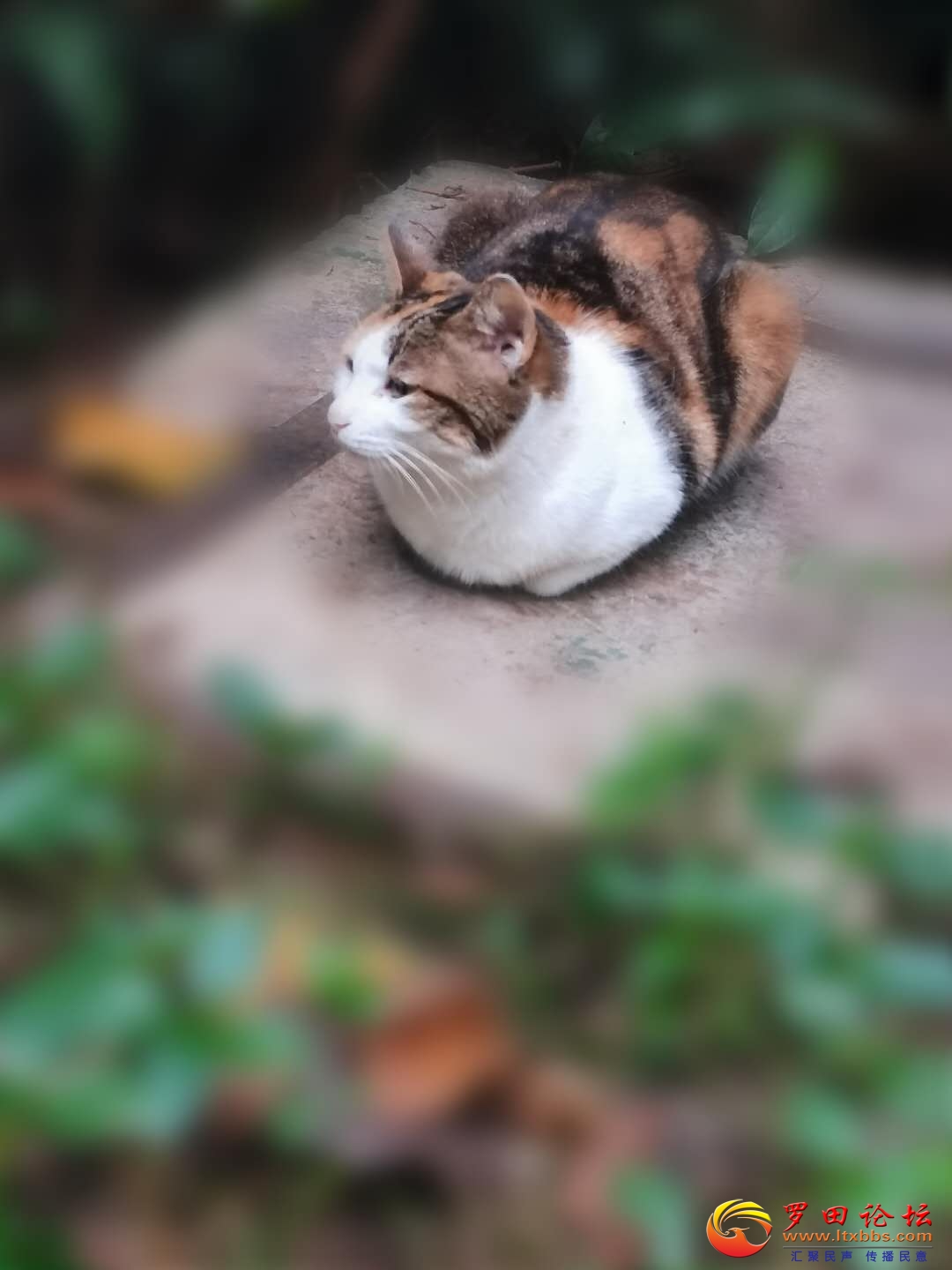 ΢ͼƬ_20201022103226.jpg