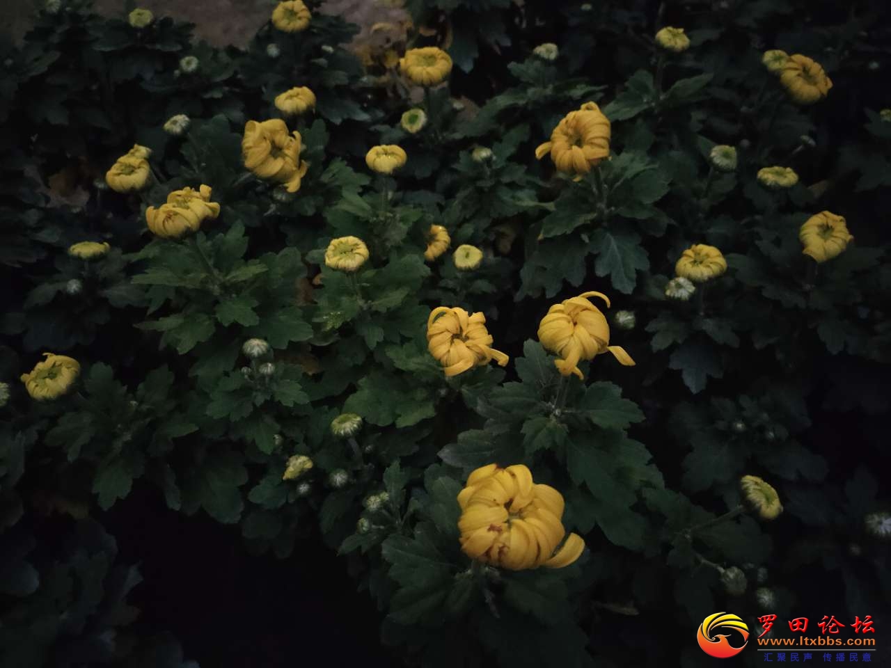 20201101_1160_1604241241725.jpg