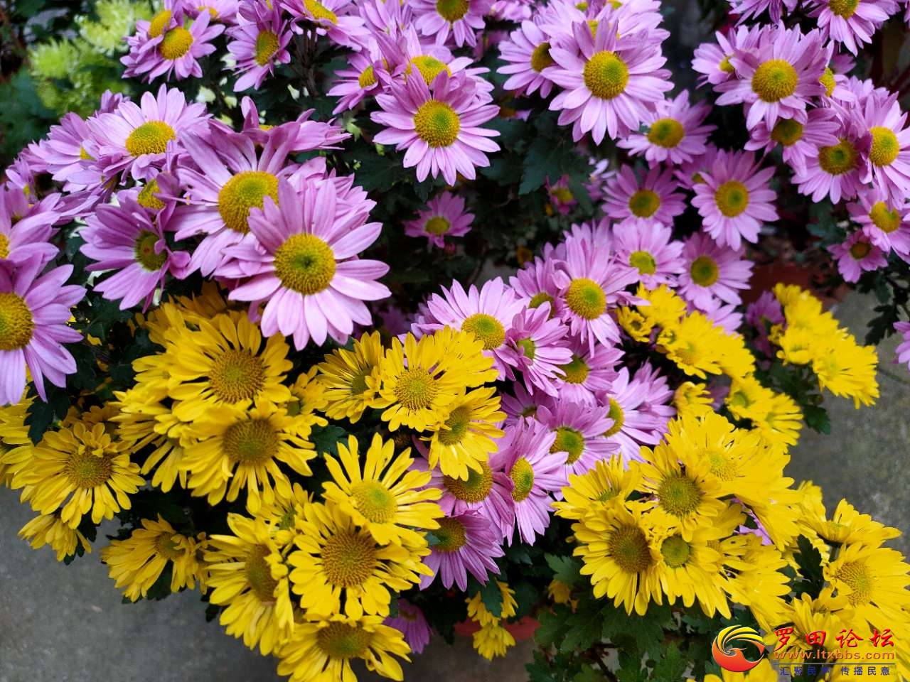 20201102_1160_1604275872935.jpg
