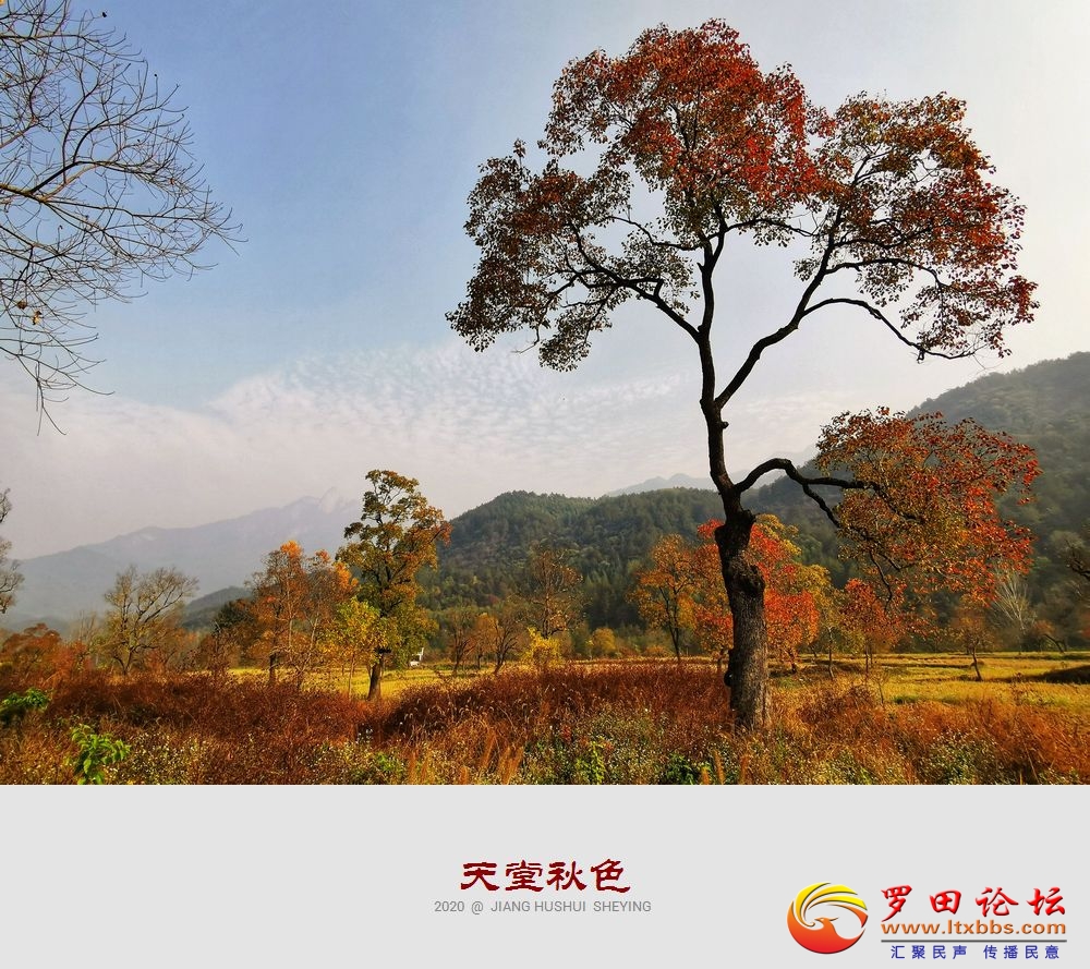 QQͼƬ20201102150346.jpg