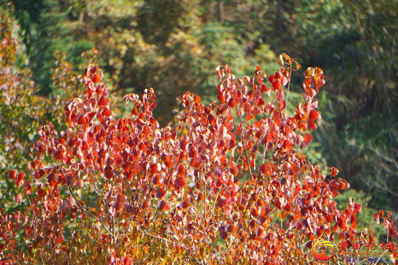 20201107_1160_1604762033880.jpg