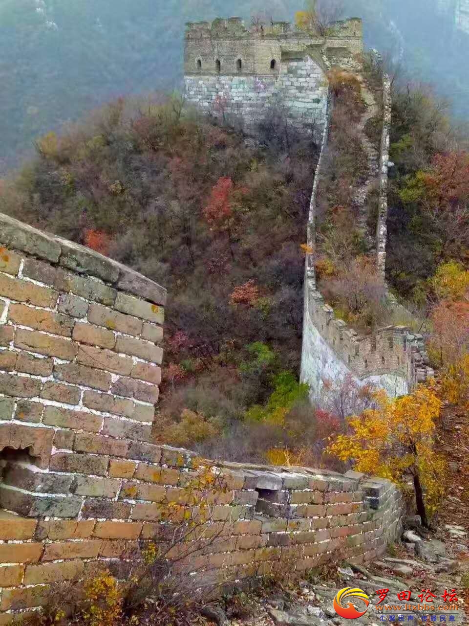 20201108_1160_1604843802658.jpg