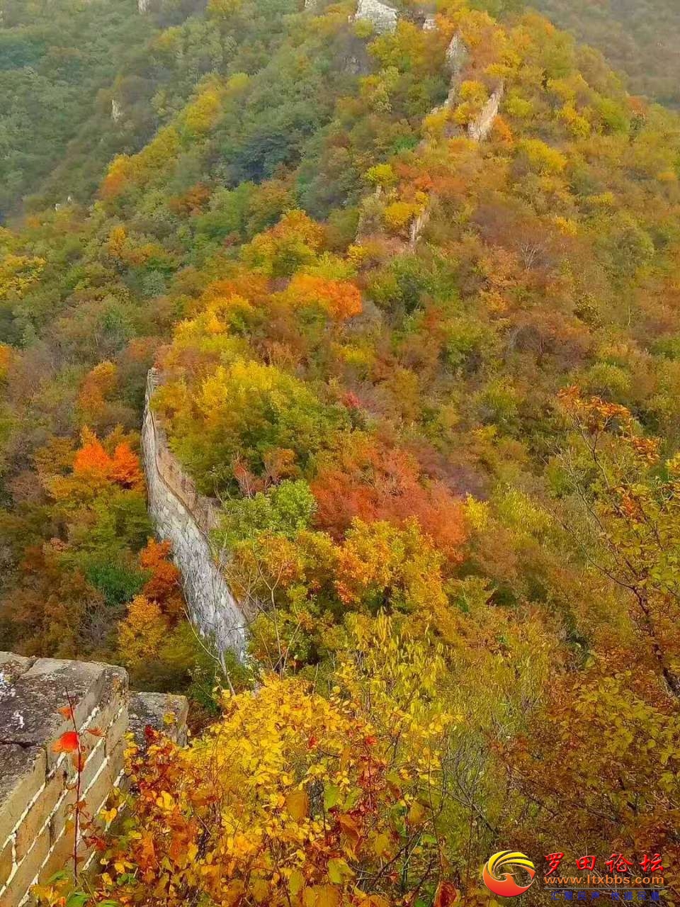 20201108_1160_1604843802864.jpg