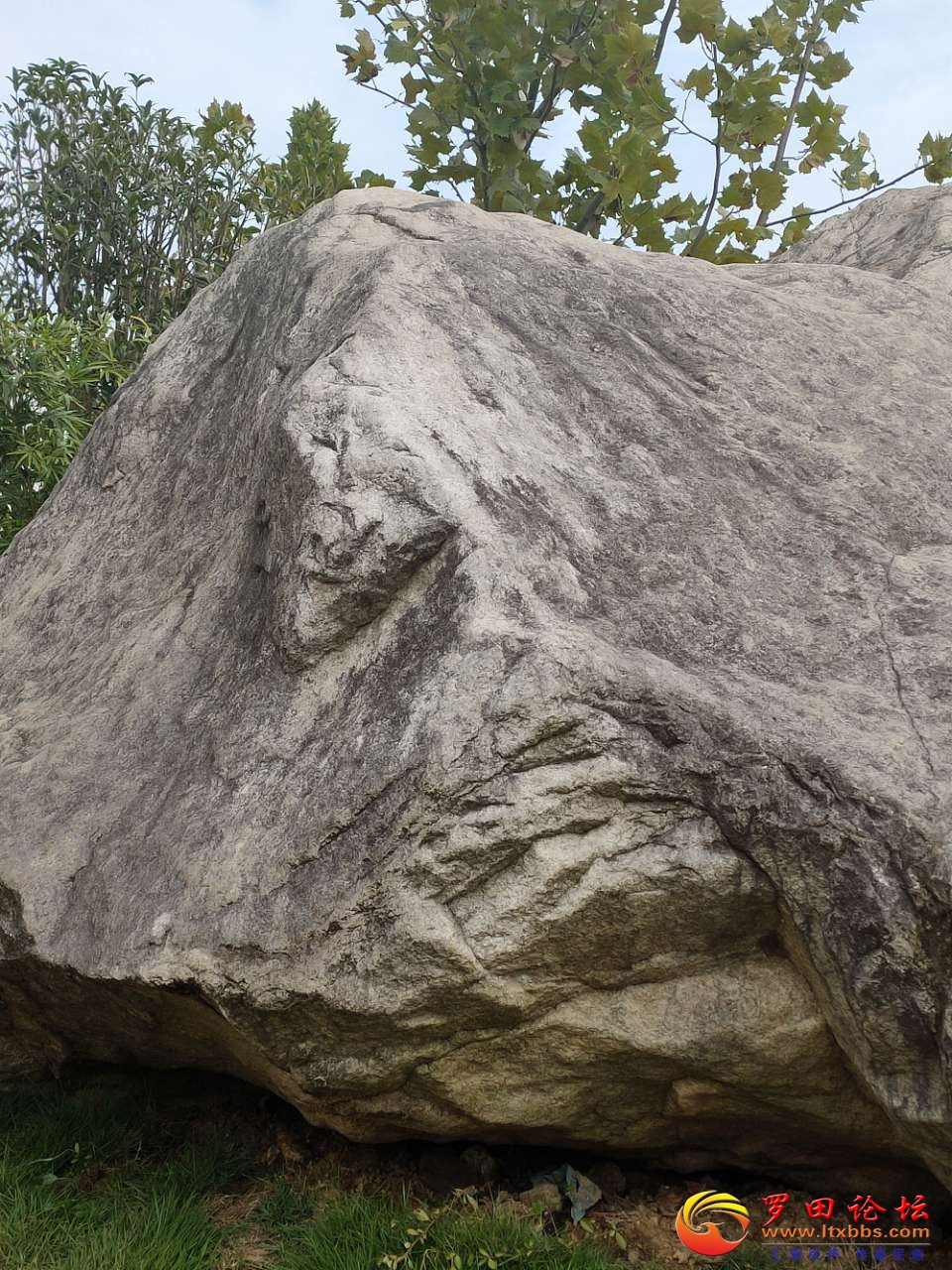 20201108_1160_1604845277173.jpg